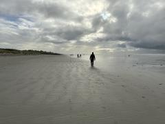 Taking advantage of the low tide